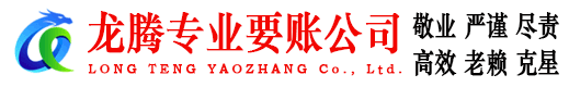 庐阳清债公司